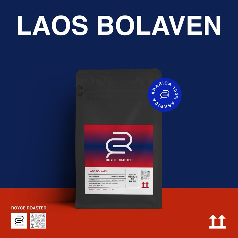 เมล็ดกาแฟ อาราบิก้า LAOS BOLAVEN Royce Roaster