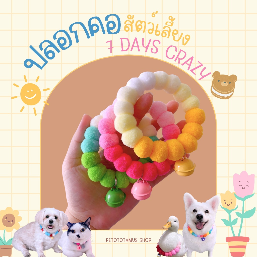 New Collection!! ปลอกคอสัตว์เลี้ยง 7 Days Crazy ปลอกคอแมว ปลอกคอสุนัข ไล่เฉดสี คุมโทนชิคๆ 7 วัน 7 สี