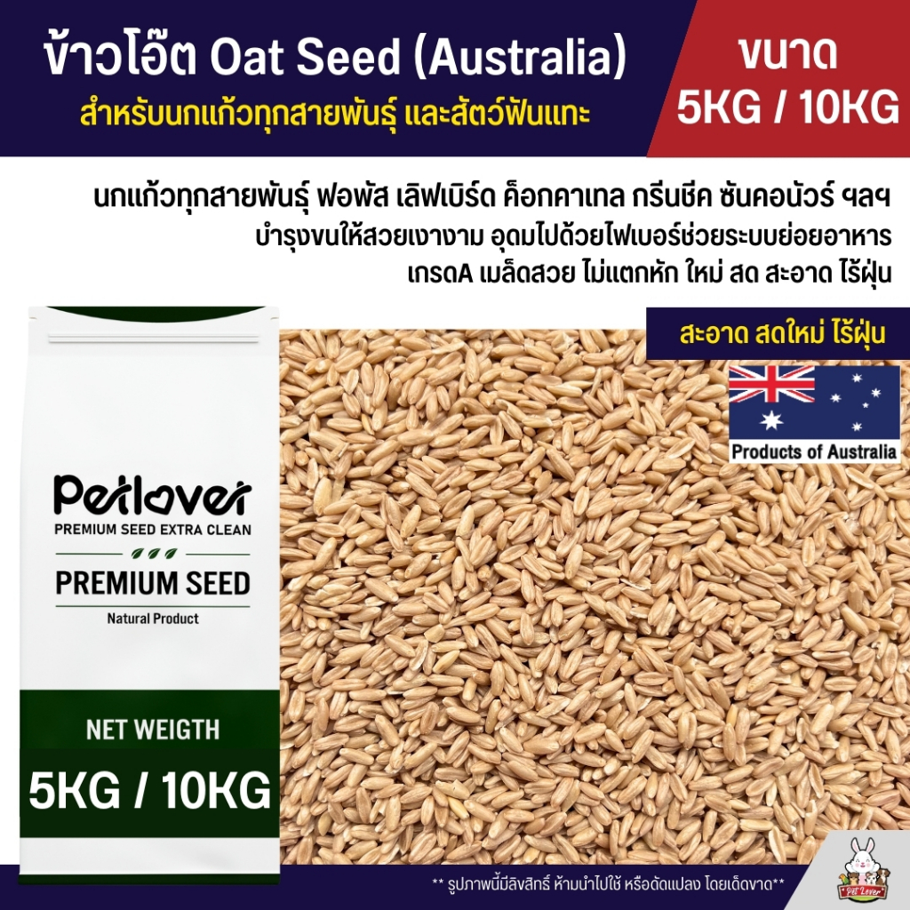 (5KG / 10KG) ข้าวโอ๊ต Oat Australia เกรด A ข้าวโอ็ต อาหารนกแก้ว และสัตว์ฟันแทะ สะอาด ร่อนฝุ่นทุกถุง
