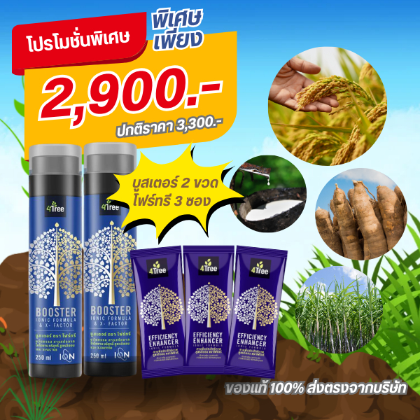 4tree (โฟร์ทรี) + Booster (บูสเตอร์) 1 ชุด ใช้ได้กับพืชทุกชนิด