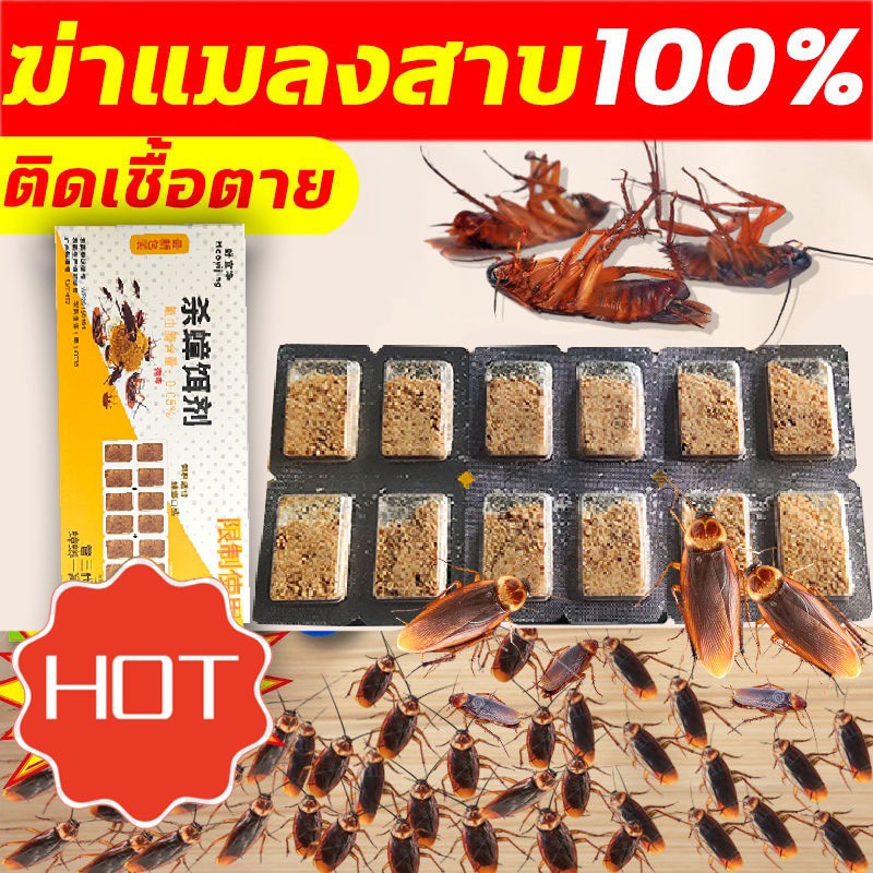 ซื้อ1แถม1 ฆ่าแมลงสาบ 24เม็ด บ้านแมลงสาบ สูตรใหม่ 50ปีไม่มีแมลงสาบ ติดเชื้อ1ตัว ตายทั้งรัง ดักแมลงสาบ ยาแมลงสาบ