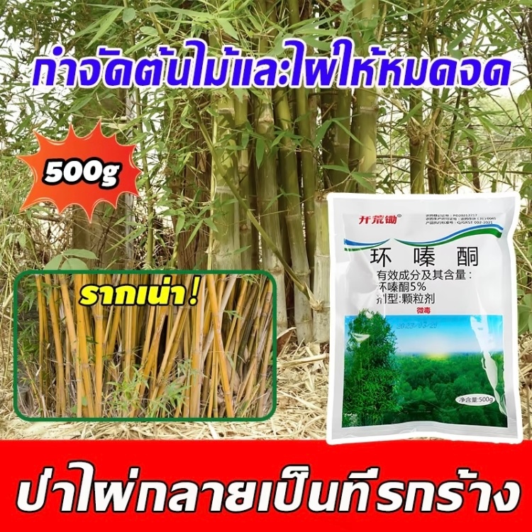 ตรงไปที่ราก!! ยากำจัดต้นไม้ สารกำจัด กอไผ่ ผงกำจัดต้นไผ่ ยาฆ่าตอไม้ 500g สูตรเข้มข้น กำจัดวัชพืชรากเน่า ผลติดทนนาน ไม่เป