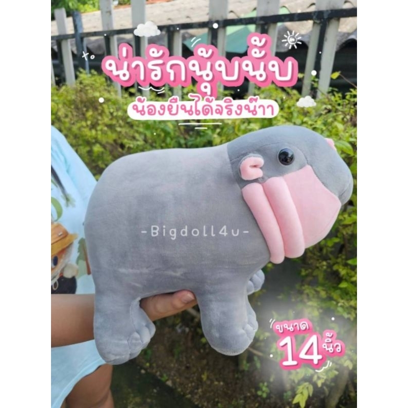 ตุ๊กตาหมูเด้ง ยอดฮิต MooDeng ตัวตึงเขาเขียว น่ารักมาก ขนาด14นิ้ว ผ้าSP นุ่มนิ่ม งานป้ายเกรดพรีเมียม พร้อมส่ง