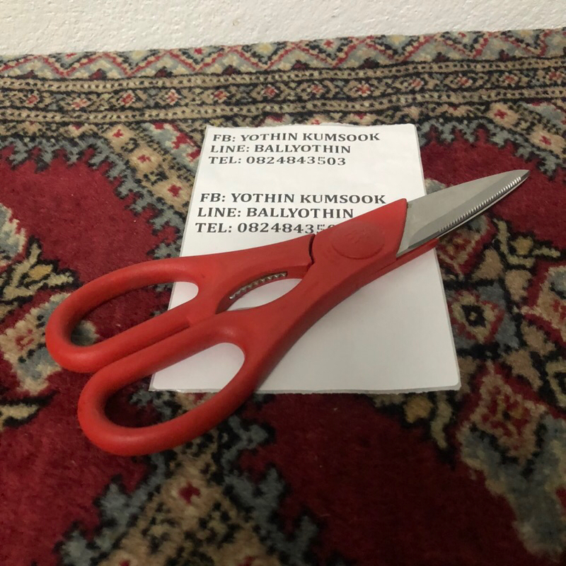 กรรไกร Swilling germany มือสองจากญี่ปุ่น