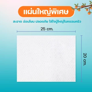 Jabs Adult Wipes ทิชชู่เปียก ทำความสะอาดผิว สำหรับผู้ใหญ่ (มีให้เลือก 2 สูตร) x6