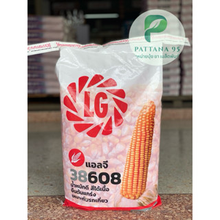 เมล็ดพันธุ์ข้าวโพด แอลจี 38 608 (3.5หุน) *ขนาด 10 กก. นํ้าหน…