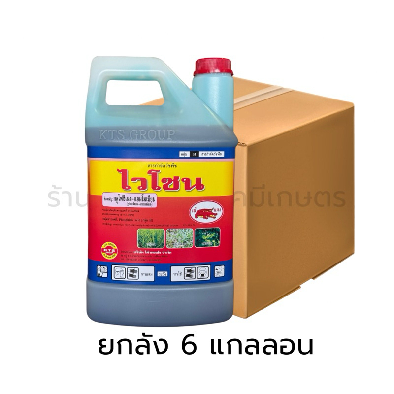 ยกลัง ไวโซน กลูโฟซิเนต ขนาด4ลิตร สารกำจัดวัชพืช หญ้าแพรก หญ้าตีนกา หญ้าปากควาย