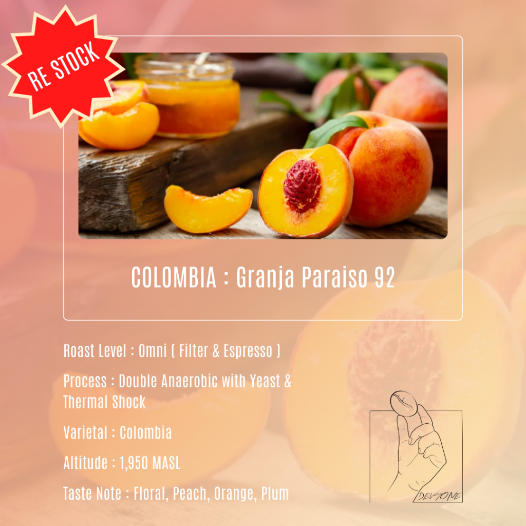 DEV TONE Coffee | COLOMBIA GRANJA PARAISO 92 | เมล็ดกาแฟคั่วอ่อน-กลาง OMNI