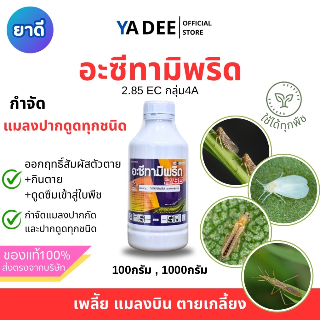 [กำจัดแมลงปากดูด แมลงบิน] อะซีทา น้ำ 1ลิตร