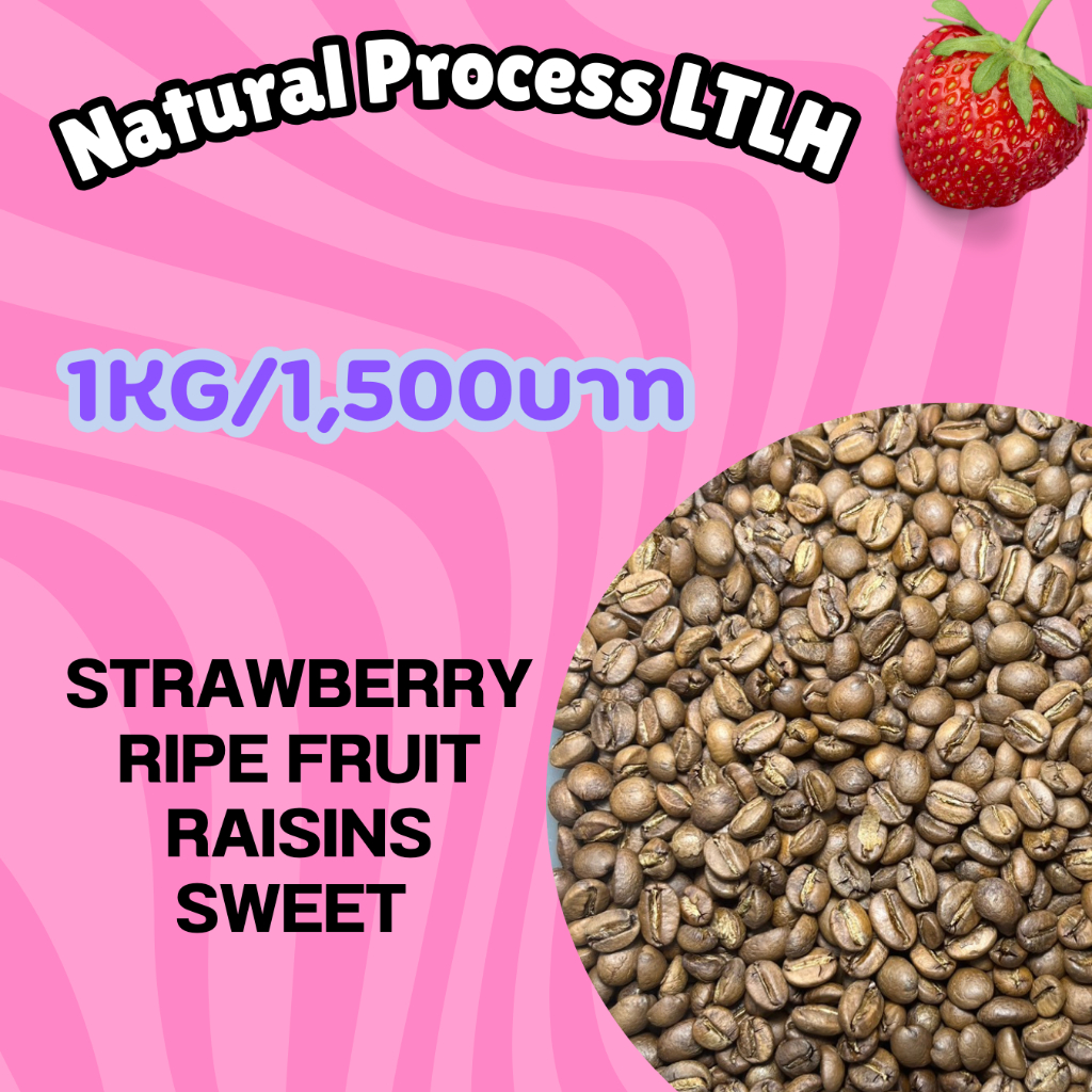 เมล็ดกาแฟคั่ว Natural Process LTLH Strawberry 1KG