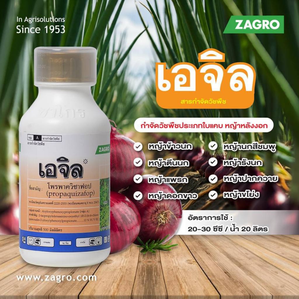 เอจิล # โพรพาควิซาฟอบ 10% W/V EC ขนาด 500 ซีซี เพื่อกำจัดวัชพืชประเภทใบแคบ เช่น หญ้านกสีชมพู หญ้าตีนติด หญ้าตีนนก