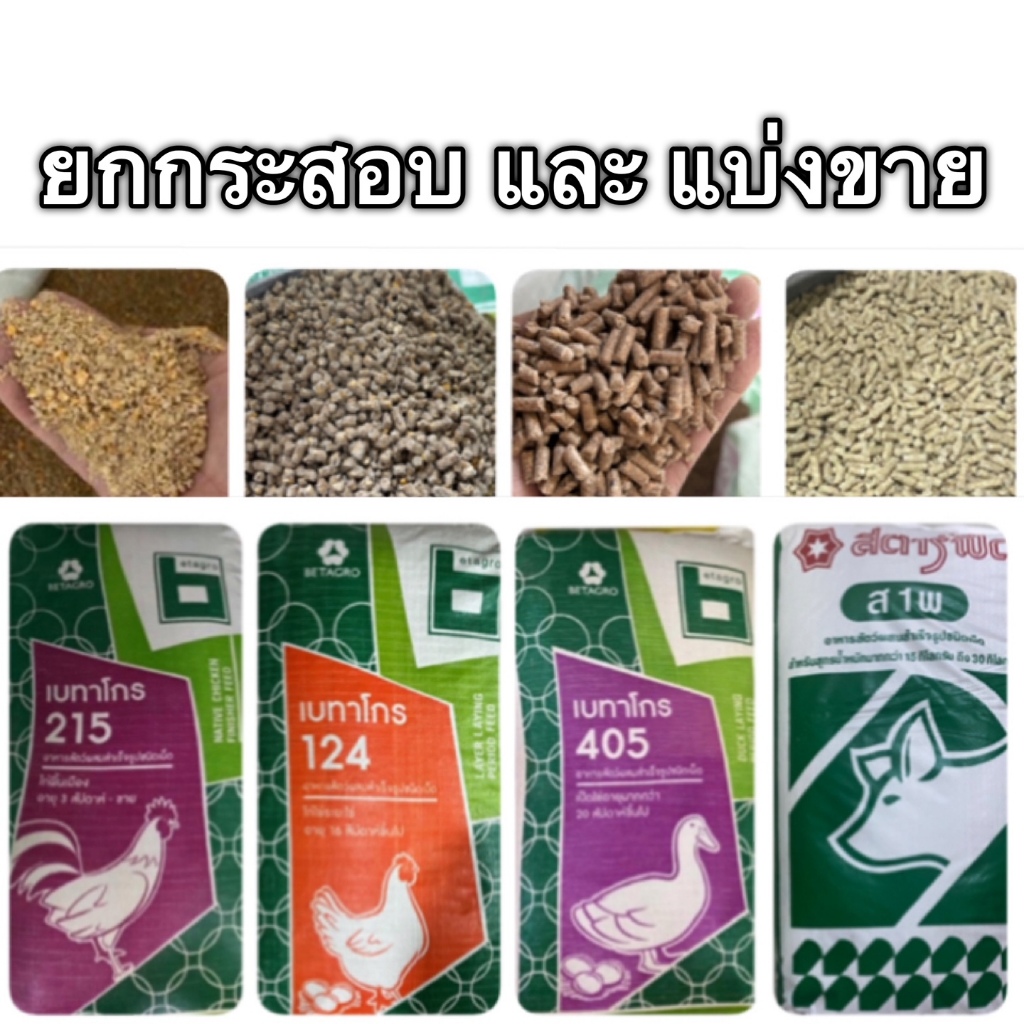 (ยกกระสอบ 30 กิโล และ แบ่งขาย) อาหาร สำหรับ ไก่ เป็ด ไก่บ้าน ไก่ไข่ เป็ดไข่ หมูอ่อน หมู ลูกเจี๊ยบ