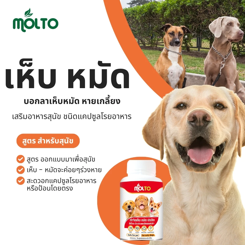 MOLTO เสริมภูมิสุนัข เห็บ หมัด หายเกลี้ยง โรยอาหารสุนัข