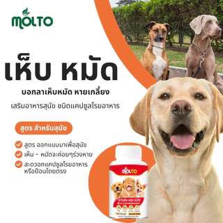 MOLTO เสริมภูมิสุนัข เห็บ หมัด หายเกลี้ยง โรยอาหารสุนัข