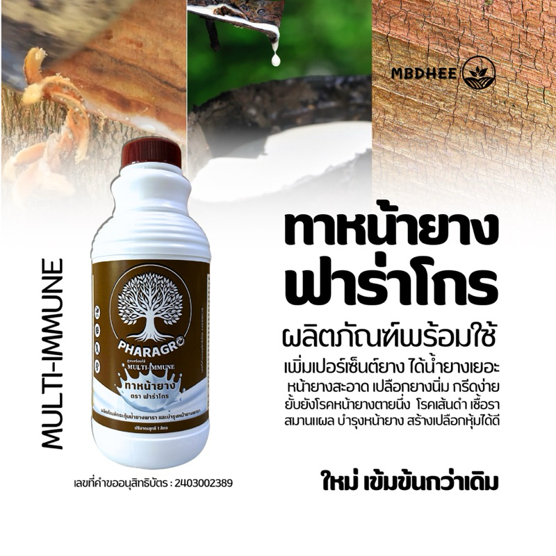 ยาทาหน้ายางฟาราโกร เพิ่มน้ำยาง สร้างเปลือกใหม่เร็ว ไม่มีสารเร่ง ยั้บยั้งเชื้อราต้านทานโรคตายนึ่ง