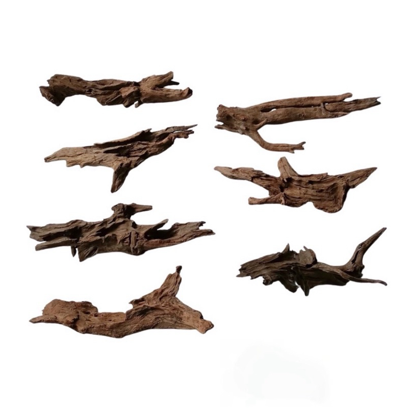 ขอนไม้ driftwood ขนาด 30,40,50 ,60 cm