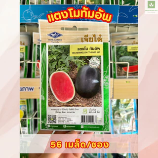 ซองเล็ก มีครบ เมล็ดพันธุ์แตงโม เจียไต๋ ซอนญ่า เมญ่า ทัมอัพ แบล็คบอมบ์ รันรัน แตงโมไร้เมล็ด