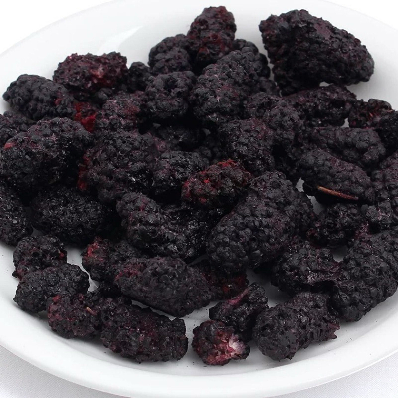 Freeze Dried Mulberry 20g มัลเบอร์รี่ฟรีซดราย ขนมนก ผสมกับอาหาร นกกัดง่าย โดยเฉพาะนกขนาดเล็ก ขนมนกแก้ว อาหารนก