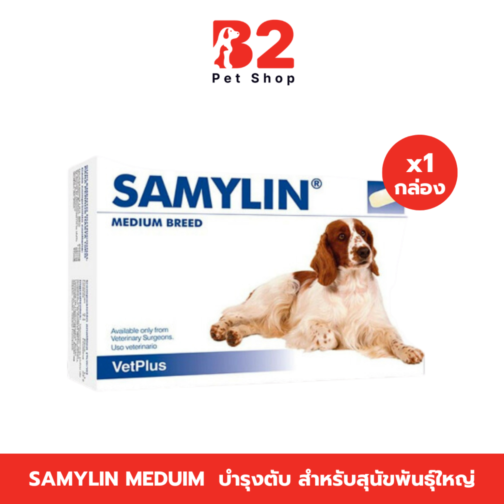 Samylin Medium breed อาหารเสริม บำรุงตับ สุนัขพันธุ์กลาง-ใหญ่ ของแท้ฉลากไทย