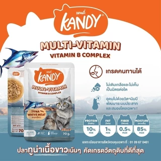 Kandy (1กล่อง12ซอง) อาหารเปียกแมวแคนดี้ ไม่ใส่เกลือ ผลิตจากปลาเนื้อขาว ขนาด 70 กรัม