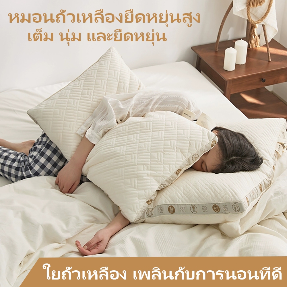 TQL หมอนหนุน หมอนถั่วเหลืองยืดหยุ่นสูง สูงนุ่มเด้ง ลดปวดคอบ่าไหล่ กันไรฝุ่น ลดภูมิเเพ้ เพื่อสุขภาพ