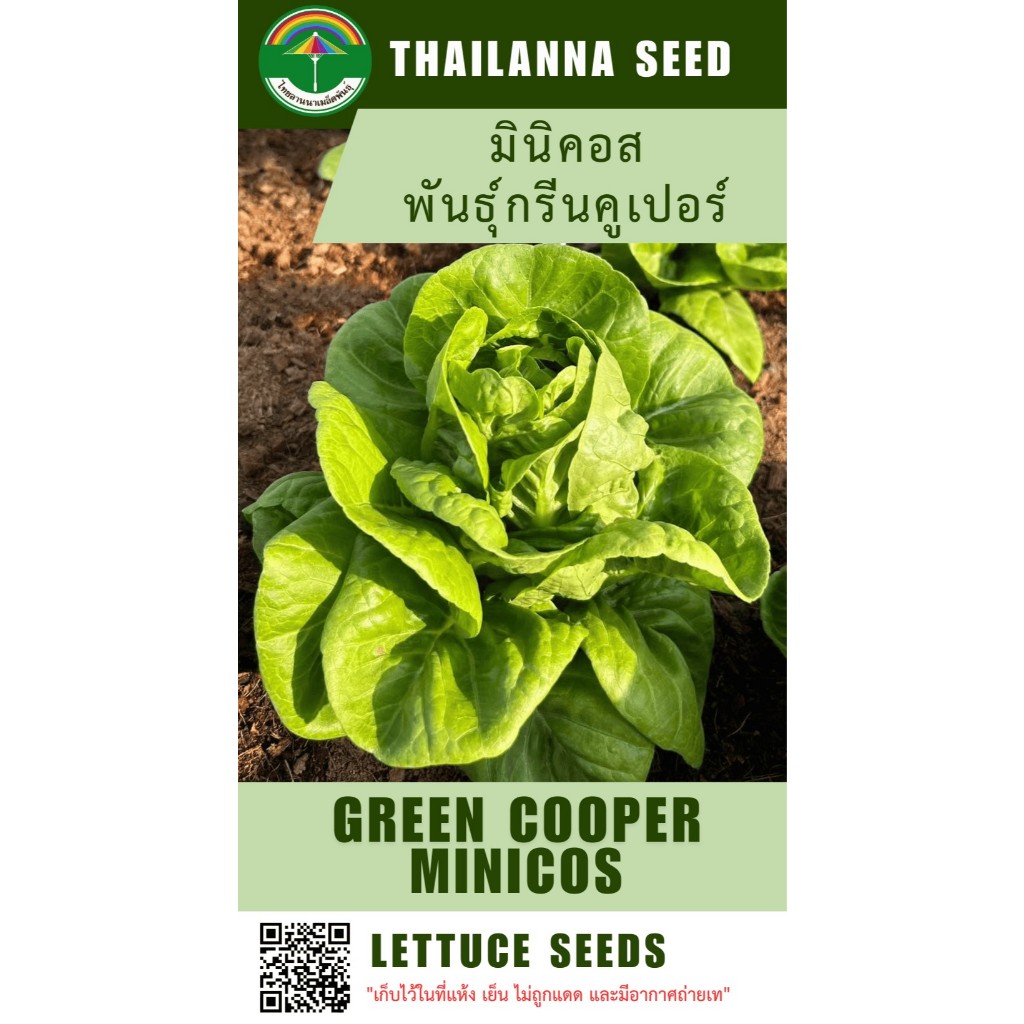 เมล็ดพันธุ์ผักสลัด มินิคอส พันธุ์กรีนคูเปอร์ ( ขนาด 0.5 กรัม ) ( เมล็ดเปลือย ) รหัสสินค้า 3035