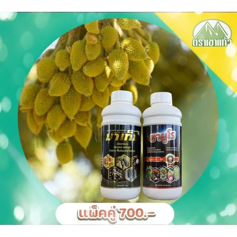 ชุดบำรุงผลอ่อน มาเท็ม ขนาด 1 ลิตร & ชาบูโร ขนาด 1 ลิตร