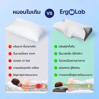 หมอน ErgoLab Deep Sleep หมดปัญหาปวดคอ ไม่ต้องกังวลเรื่องกรน หลับสบายต่อเนื่องตลอดคืน (คืนเงินใน 90 วัน + รับประกัน 1 ปี)