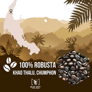 เมล็ดกาแฟคั่ว โรบัสต้า เขาทะลุ ชุมพร | Premium | หอมเข้ม ยันหว่าง | คั่วสด บดฟรี | ขนาด 1 kg