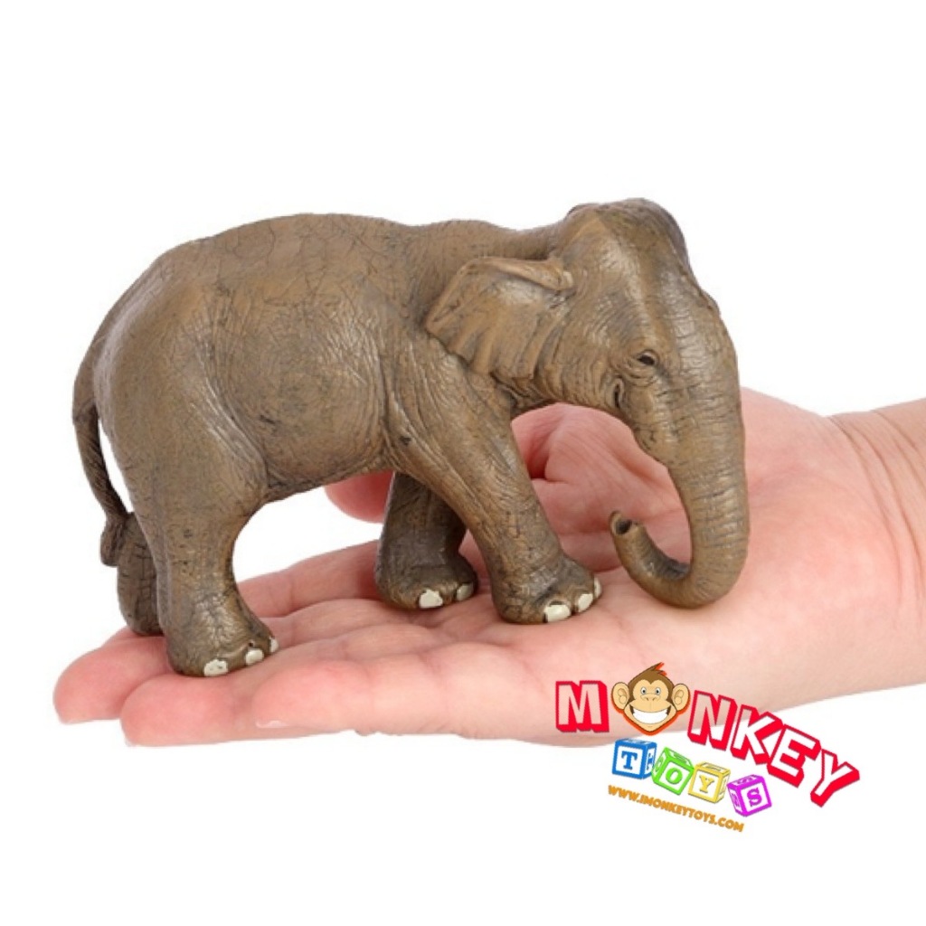 Monkey Toys โมเดลสัตว์ Elephant ช้าง เอเชีย ขนาด 13.60 CM (จากหาดใหญ่)