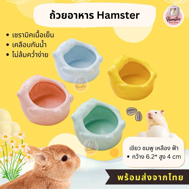 [hamsterthailand]ถ้วยอาหารเซรามิค  ชามอาหาร สำหรับสัตว์เลี้ยงแฮมเตอร์ ชูก้า ดอร์เมาส์ เม่นแคระ