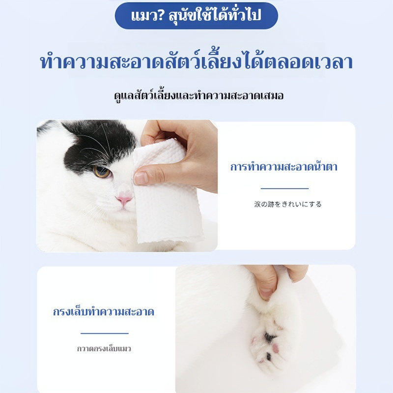 รูปภาพ 3