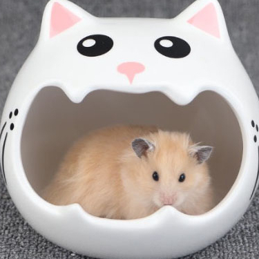 รวมบ้านหนูเซรามิก บ้านแฮมสเตอร์ ของเล่นแฮมเตอร์ Hamster House