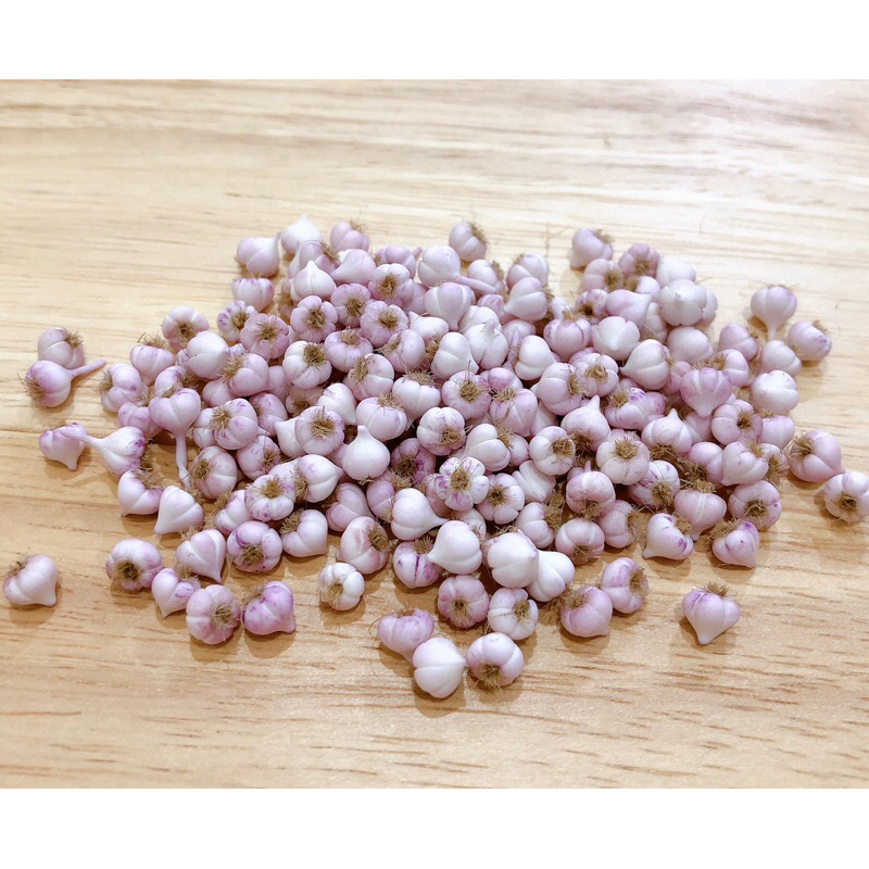 [ของจิ๋ว] ดินปั้นกระเทียมจิ๋วขนาด 4-5mm. / 5pcs.