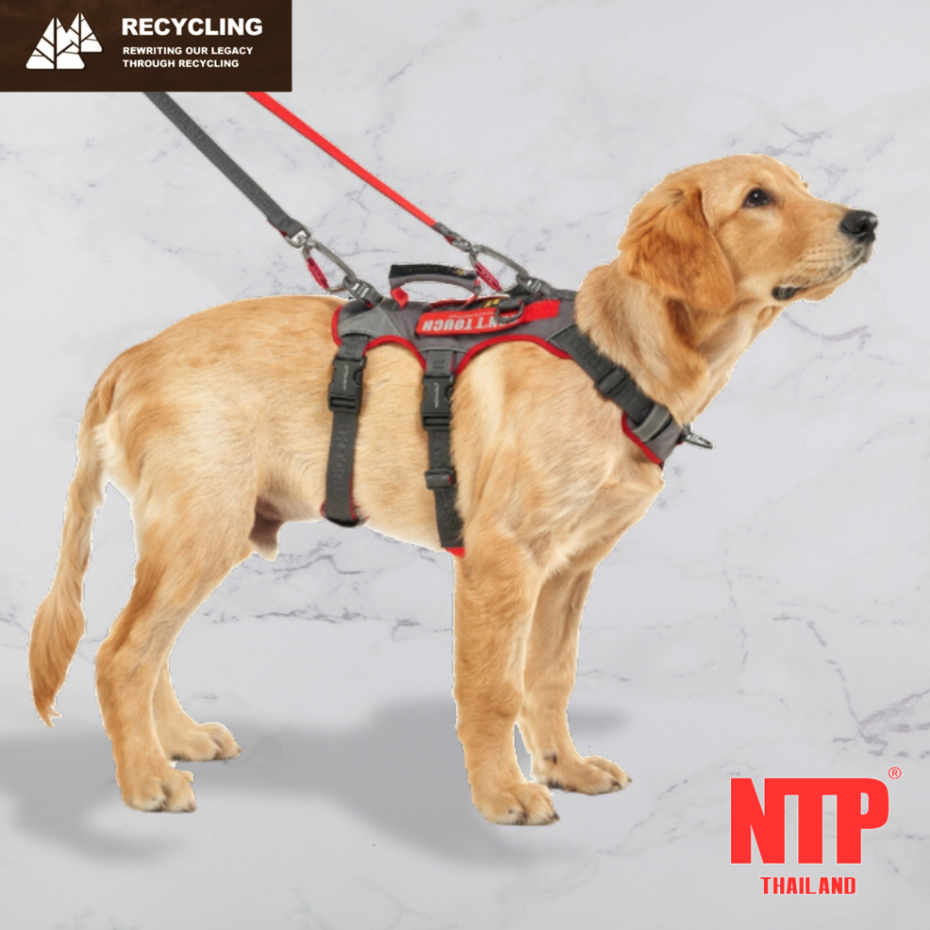 NTP สายรัดอกสุนัข Interlaken Earthtec slim 3.0 harness