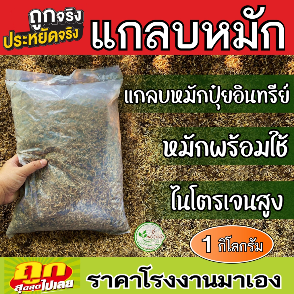 แกลบหมัก มูลวัว+มูลไก่+จุลินทรีย์ พร้อมใช้ 1 กิโล แกลบหมักปุ๋ยอินทรีย์เสริมแร่ธาตุ แกลบเก่า เพิ่มแร่ธาตุ ไม่เป็นเชื้อรา