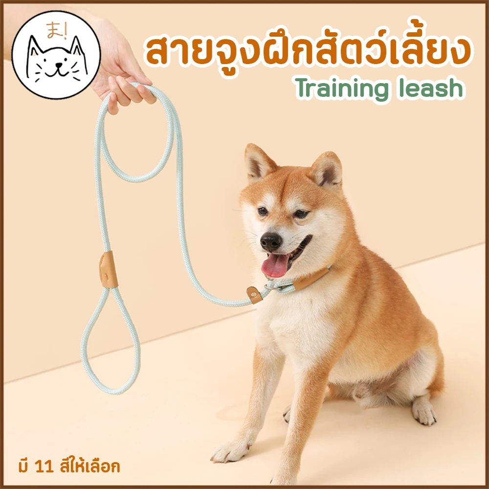 KUMAま สายจูงฝึกสุนัข Training leash เชือกไนลอน เชือกจูง สายจูงสัตว์เลี้ยง สายจูงสุนัข สายจูงหมา