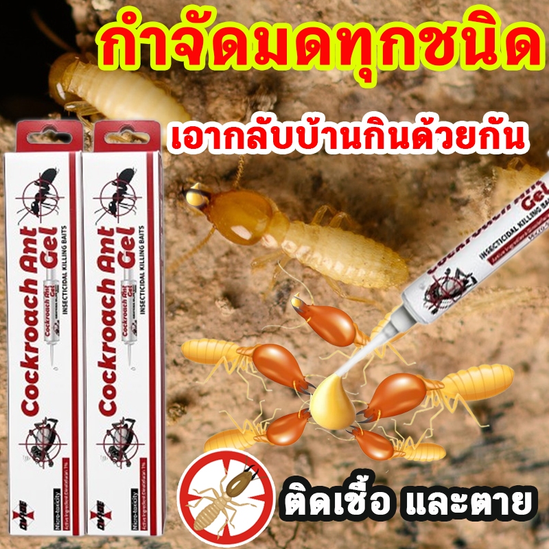 เจลกำจัดมดโดยเฉพาะ เจลกำจัดมด แอนท์เบท ยาฆ่ามด 10 กรัม เจลฆ่ามด หยดเดียวตายยกรัง เจลล่อมด เจลหยอดมด แอนตี้แอนท์