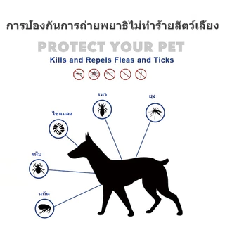 🐾 ปลอกคอกันเห็บหมัด 🐶🐱 สำหรับสุนัขและแมว 🐕🐈 ป้องกันยาวนานถึง 8 เดือน 🌟 ปลอดภัย ไร้กังวล 🎉