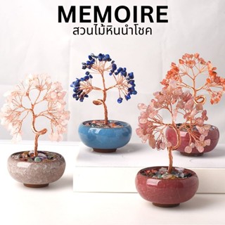 (ส่งด่วน แถมกล่อง ระบุหมายเหตุ) สวนไม้หิน  ต้นไม้หินนำโชคตั้…