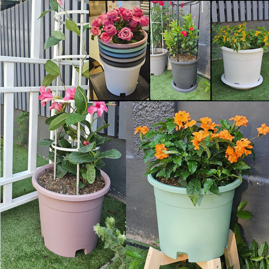 (ขั้นต่ำ2ใบ)13"กระถางกุหลาบ รูพรุน พร้อมรูระบายข้าง45องศา สีหวานพาสเทล ให้งานไม้ดอกสนุกยิ่งขึ้น