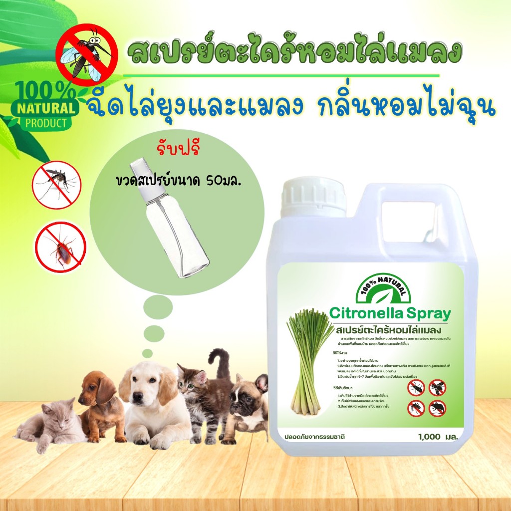 สเปรย์ตะไคร้หอมไล่ยุง(citronella  spray) ออแกนิค ป้องกันและขับไล่แมลง ไล่แมลง ไล่ยุง แมลงสาบ กันยุง สมุนไพร ตะไคร้หอม
