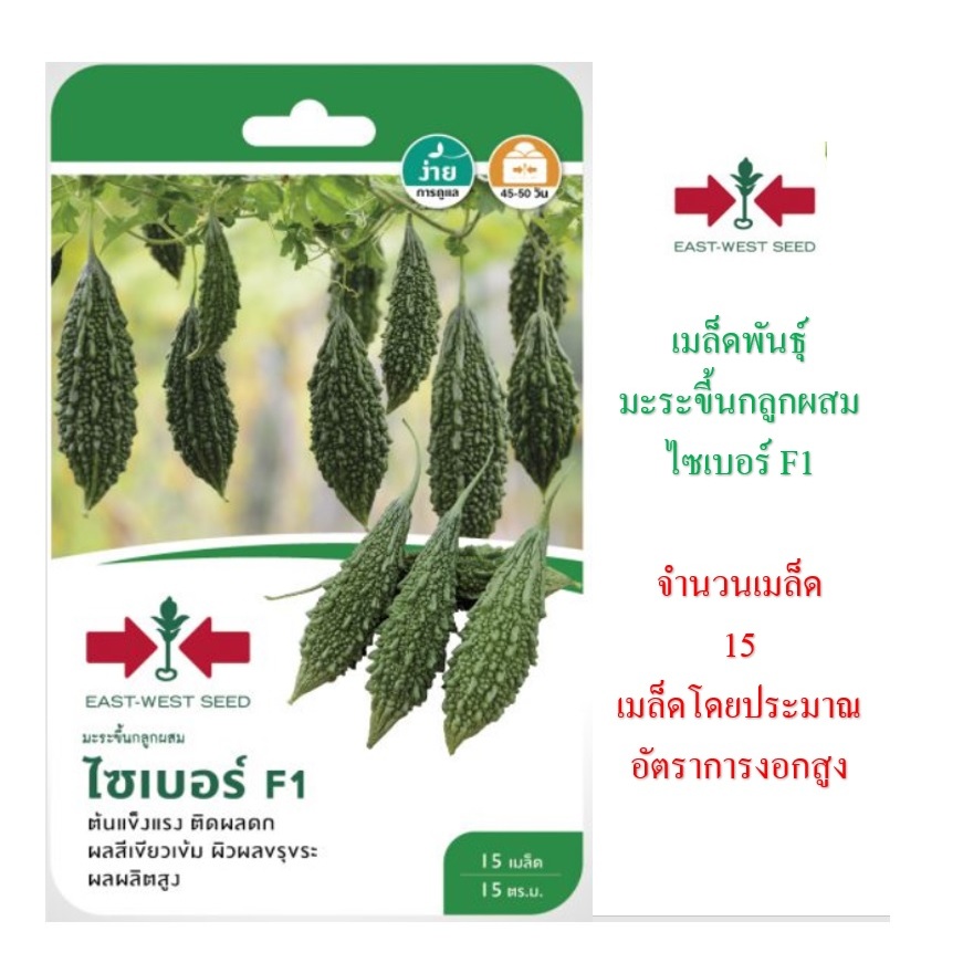 5 ฟรี 1 คละได้ เมล็ดพันธุ์ มะระขี้นกลูกผสม ไซเบอร์ F1 ตราศรแดง อัตราความงอกสูง