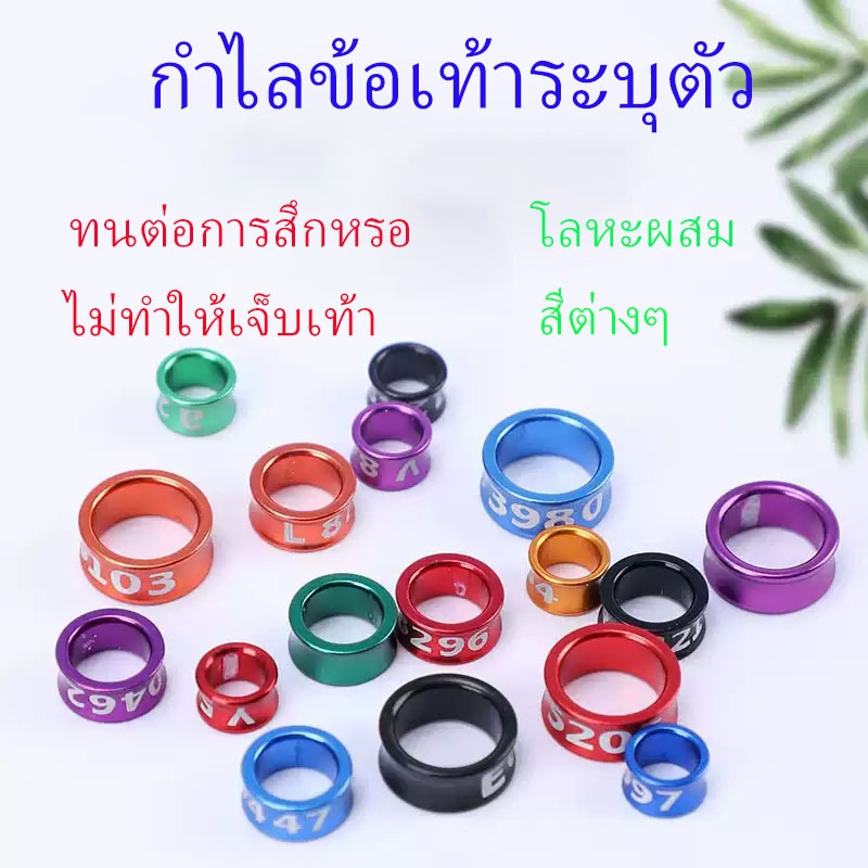 TH พร้อมในสต็อก🚚10 ชิ้น ห่วงขานก ห่วงขานกแก้ว 4 มม-7 มม ห่วงนกอลูมิเนียม สุ่มสี เลิฟเบิร์ด, ฟอพัส, หงษ์หยก