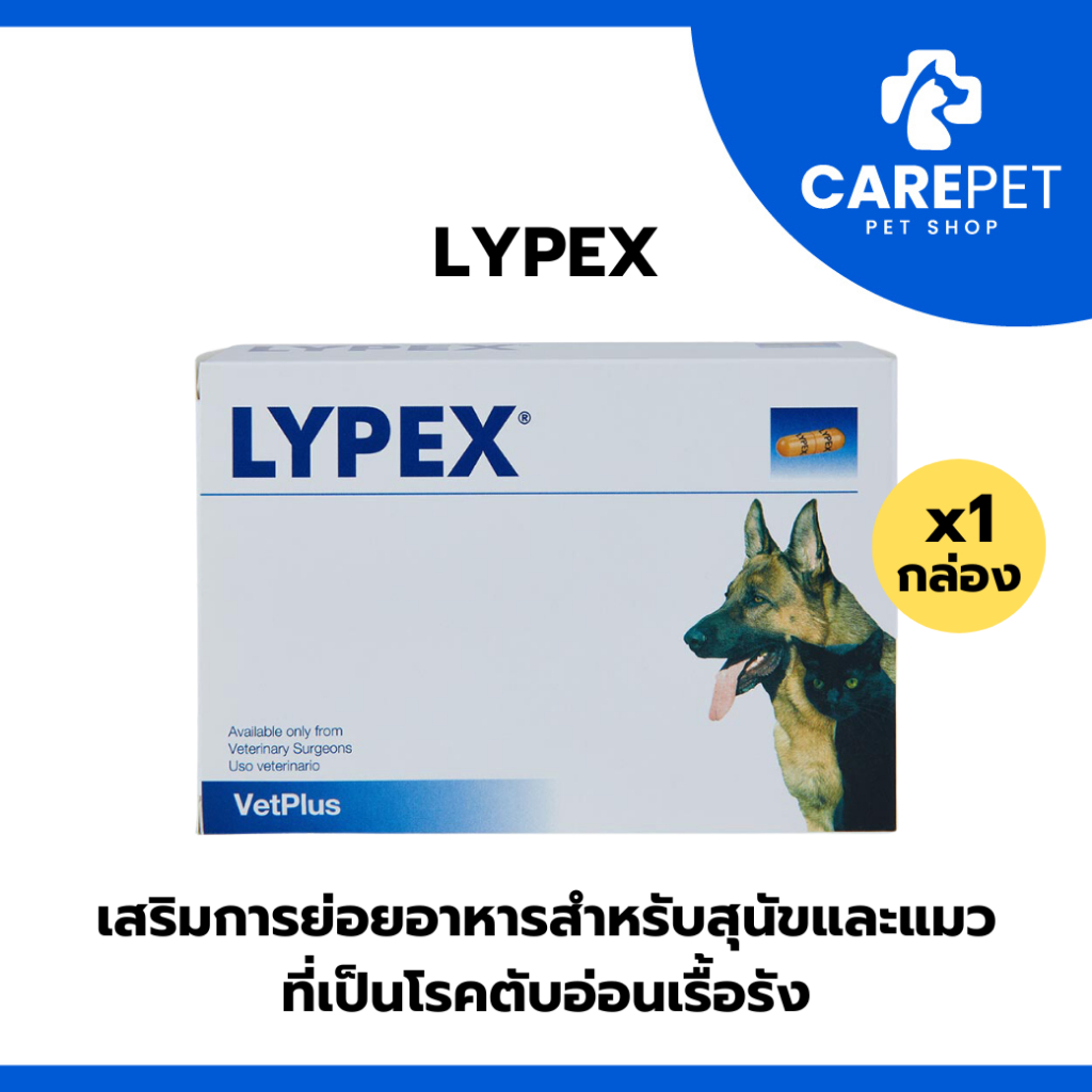 Lypex ไลเป็กซ์ เสริมการย่อยอาหารสำหรับสุนัขและแมวที่เป็นโรคตับอ่อนเรื้อรัง 3 เดือน ขึ้นไป