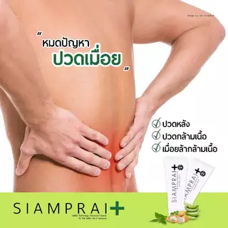 (2 หลอด) ครีมนวดแก้ปวด สยามไพรพลัส SIAMPRAI PLUS แก้ปวดเมื่อย ออฟฟิศซิมโดรม แมลงกัดต่อย สูตรเย็น 45g