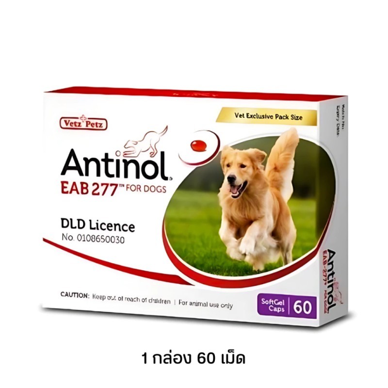 Antinol DOG ช่วยบำรุงข้อ กระดูก ขน ผิวหนัง และไต(1 กล่อง 60 caps) สำหรับสัตว์เลี้ยง EXP.08/2025