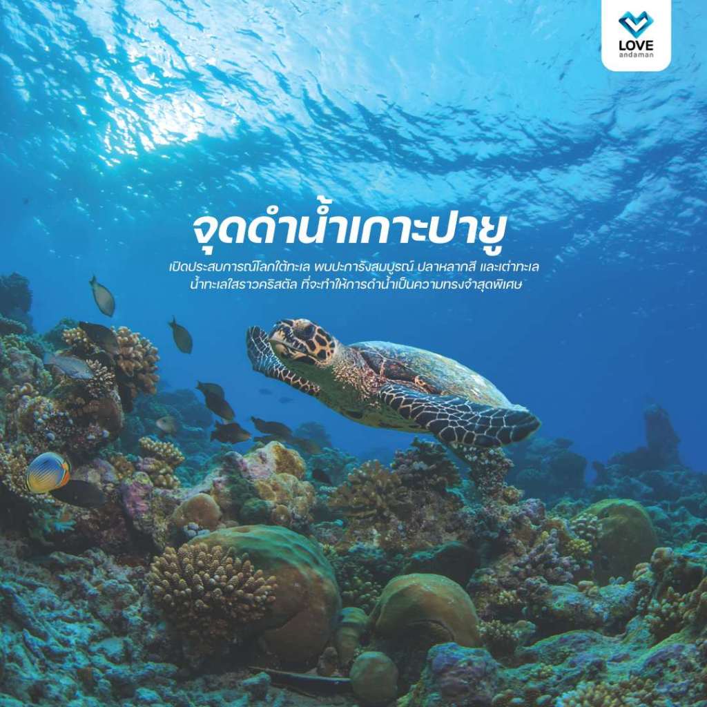 [ E - Voucher ] Love Andaman หมู่เกาะสิมิลัน โปรแกรมเดย์ทริป