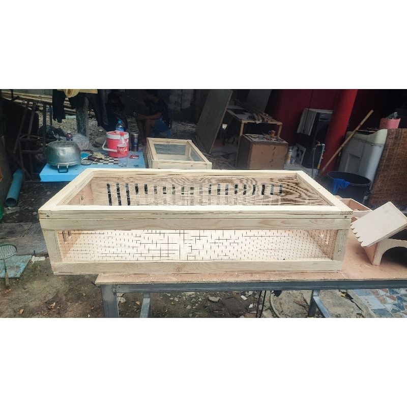 คอกเต่าซูลคาต้า คอกสัตว์เลี้ยง