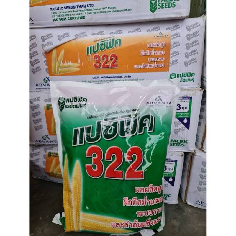 เมล็ดพันธุ์ข้าวโพดฝักอ่อน แปซิฟิค322